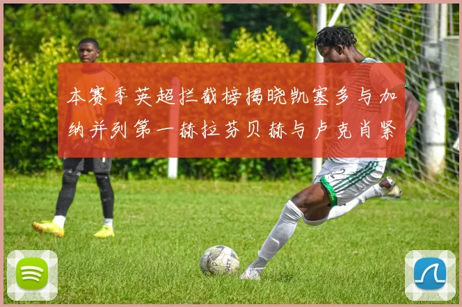 本赛季英超拦截榜揭晓凯塞多与加纳并列第一赫拉芬贝赫与卢克肖紧随其后