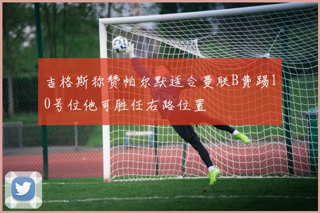 吉格斯称赞帕尔默适合曼联B费踢10号位他可胜任右路位置